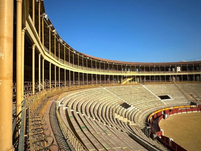 Alicante: Private Guided Visit to Alicante Bullring & Museum - Accessibility and Group Size