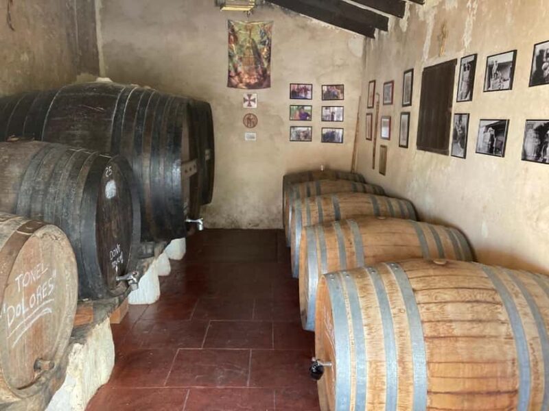 Alicante/Santa Pola -Best winery tour with tasting - Tasting Five Regional Wines with Expert Guidance