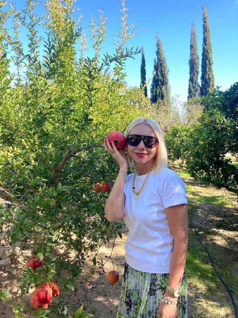 Alicante/Santa Pola -Best winery tour with tasting - Visiting the Winery Facilities and Production Areas