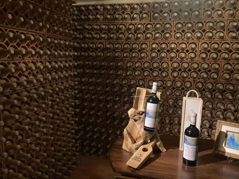 Alicante/Santa Pola -Best winery tour with tasting - Practical Details: Transfers, Timing, and Entry Fees