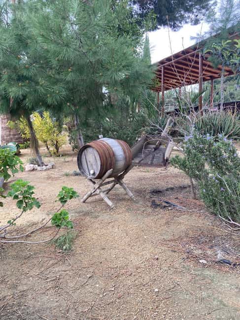 Alicante/Santa Pola -Best winery tour with tasting - Who Will Appreciate This Winery Tour?