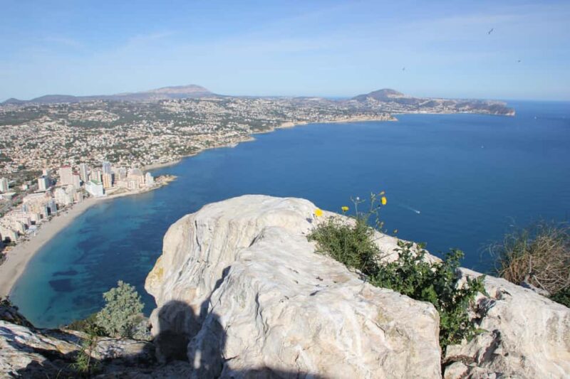Alicante Shared Tour Old town, Elche & Huerto del Cura Grdns - Scenic Coach Ride and the Choice to Explore Alicante Further