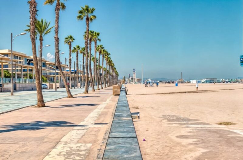 Alicante: Spot the Mediterranean by E-bike - The Bikes and Safety Equipment