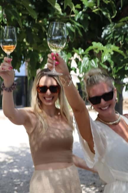 Alicante: Sustainable Wine & Tapas Experience at 3 Wineries - Discover Alicante’s Boutique Wineries on a Sustainable Wine & Tapas Tour