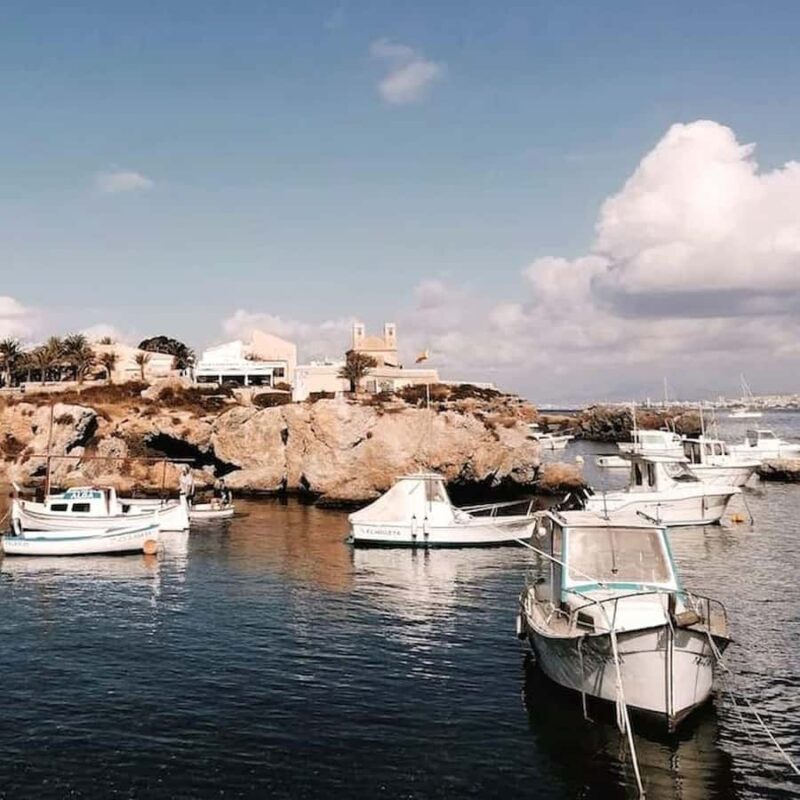 Alicante/Torrevieja: Excursion to Tabarca by ferry, Santa Pola, and Laguna Rosa - Key Points