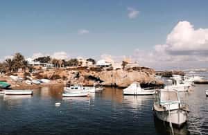 Alicante/Torrevieja: Excursion to Tabarca by ferry, Santa Pola, and Laguna Rosa - Discovering the Smallest Inhabited Island in Spain