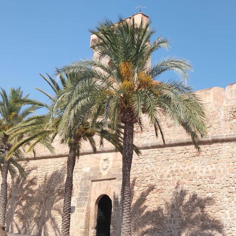 Alicante/Torrevieja: Excursion to Tabarca by ferry, Santa Pola, and Laguna Rosa - Return to Santa Pola and Visit the Castle