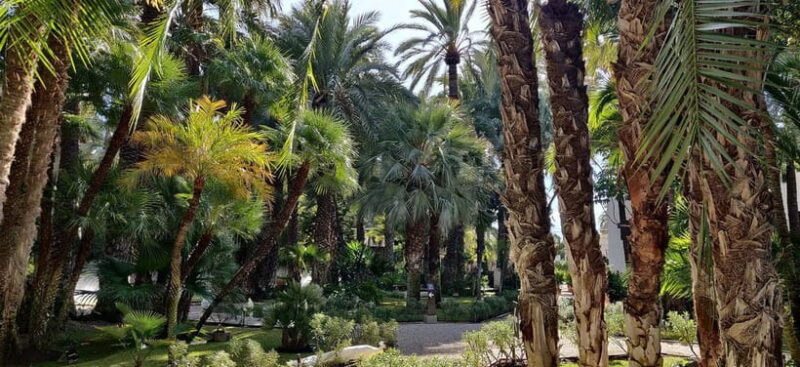 Alicante: UNESCO Heritage Palm grove + Artistic Garden Tour - What’s Included and What to Keep in Mind
