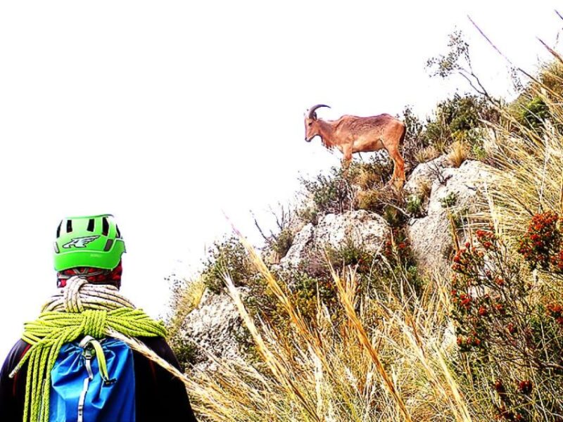 Alicante: Via Ferrata del Ponoig Guided Trek and Climb - The Experience with Your Guide