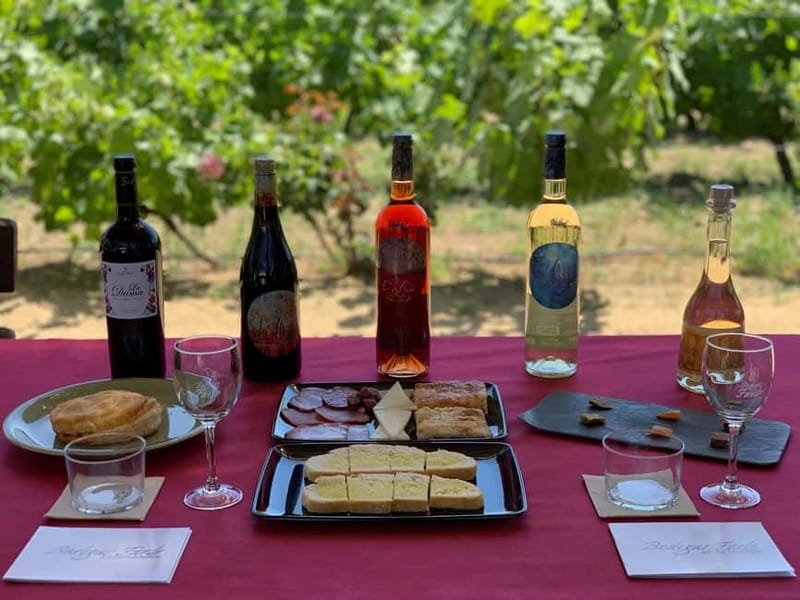 Alicante: Wine Tour and Lunch with Bodega Visit and Novelda - Key Points