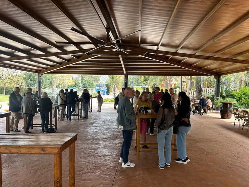 Alicante: Wine Tour and Lunch with Bodega Visit and Novelda - Gourmet Sharing-Plate Lunch with Local Specialties