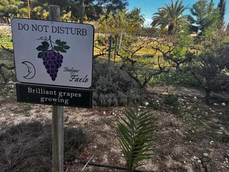 Alicante; Wine Tour, Wineries, Food, and Transfer Included - Discover the Unique Alicante Wine Tour with Tapas and Expert Guides