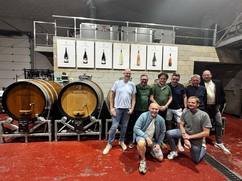 Alicante; Wine Tour, Wineries, Food, and Transfer Included - From the Pickup to the Winery: Smooth Logistics