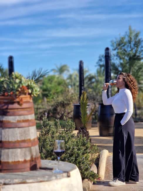 Alicante; Wine Tour, Wineries, Food, and Transfer Included - Visiting Wineries in Elche and Beyond