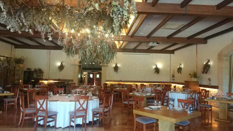 Alicante: Winery tour with a local guide. A tasting of 3 wines is included. - The Mediterranean Lunch Experience