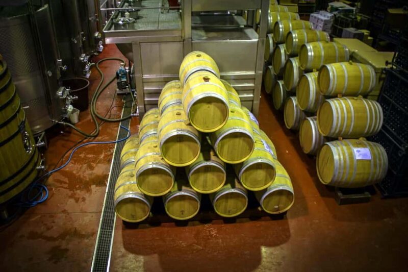 Alicante: Winery tour with a local guide. A tasting of 3 wines is included. - What the Tour Costs and Extra Fees