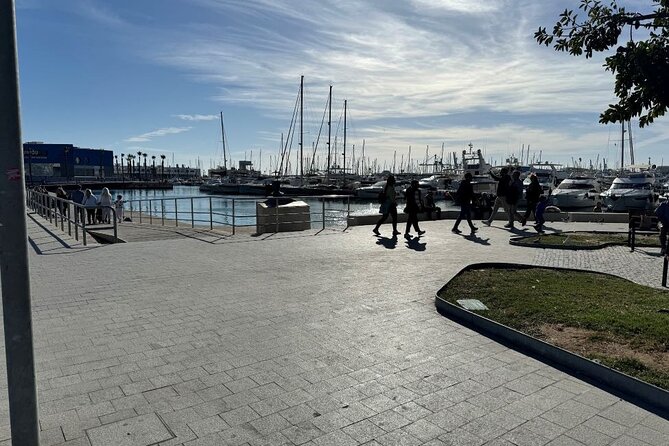 Alicantes History and Highlights: Self-Guided Walking Tour - Taking in the Central Market’s Vibrant Scene