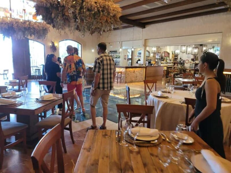 Alicante:Winery Tour+ Wine Tasting + Old castle - Convenient Logistics and Group Size