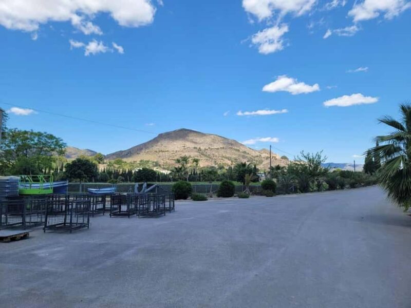 Alicante:Winery Tour+ Wine Tasting + Old castle - Final Thoughts on the Alicante Wine and Castle Tour