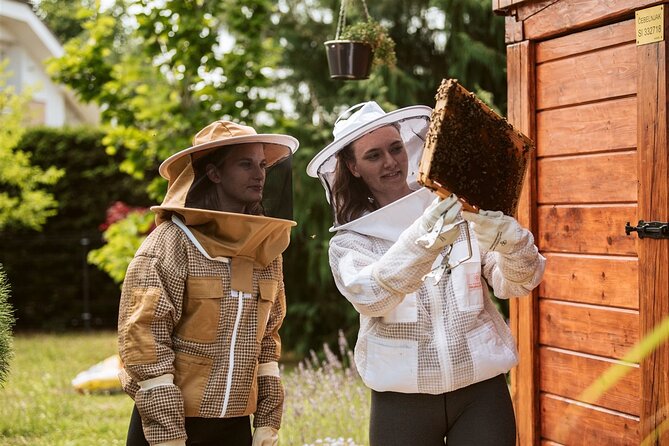 All About Bees Tour from Ljubljana - Explore Slovenian Beekeeping and Cultural Heritage in Ljubljana