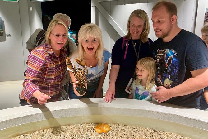 All Alesund Highlights in one tour - Exploring Brosundet i Alesund – The City’s Historic Seaside District