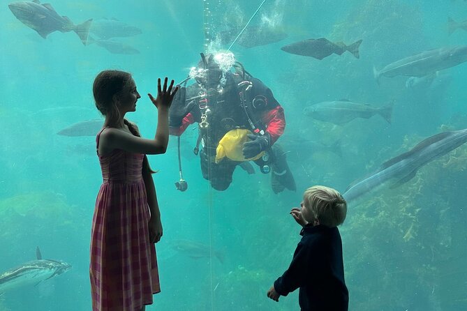 All Alesund Highlights in one tour - The Miracle House at Waldehuset – A Fire-Resistant Treasure