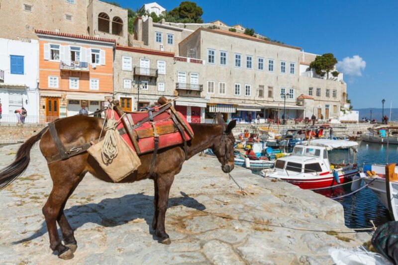"All-Day Private Excursion to Hydra Island from Athens" - Timing, Pacing, and Practical Details