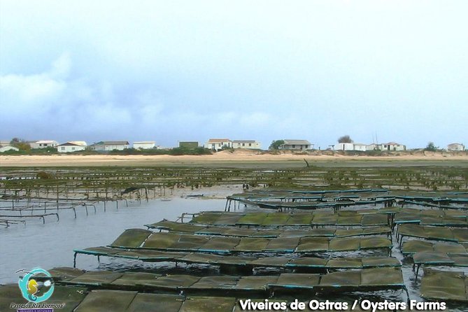 All Day Route in Fuseta - The Role of the Guide and Group Size