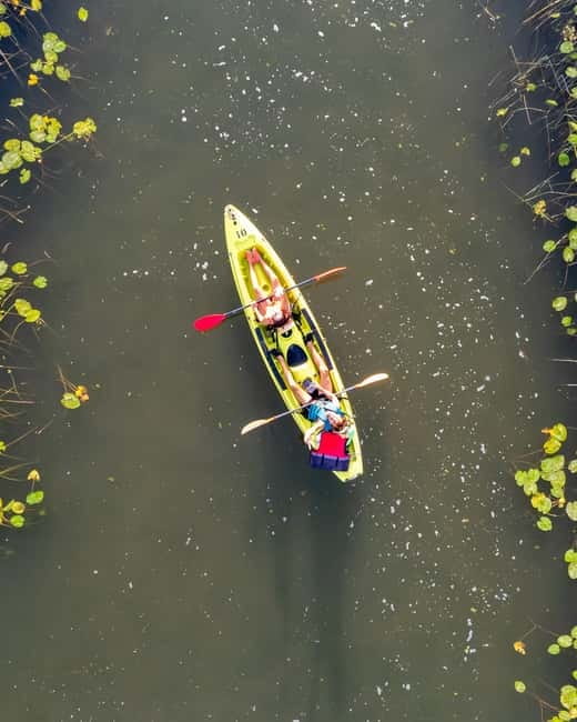 All Day Self-Kayaking to secret spots and wildlife observing - Wildlife Watching and Nature Highlights