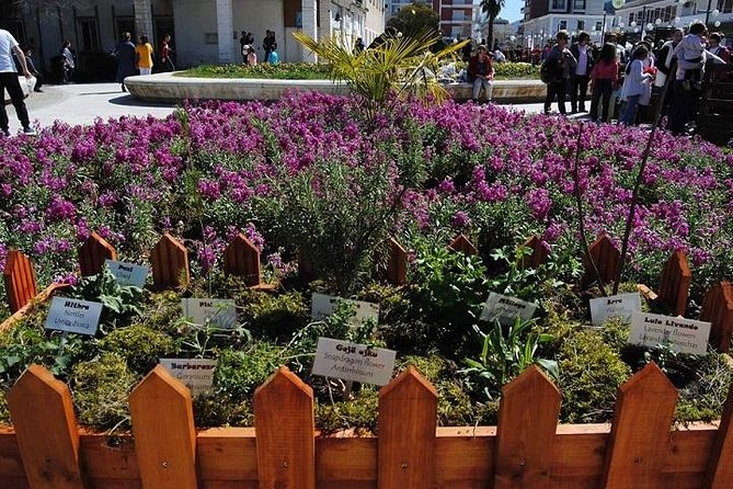 All Day Tour of Përmet - The Experience Provided by Guides and Tour Structure