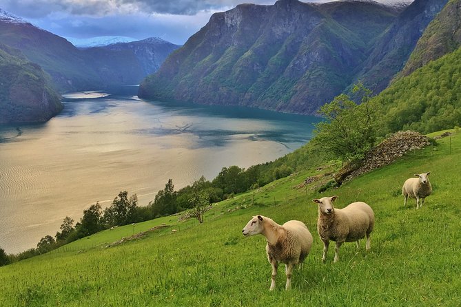 ALL ELECTRIC: Emission free tour to the World Heritage Fjords, 13 hours - Bergen as the Starting Point for Norway’s Fjords