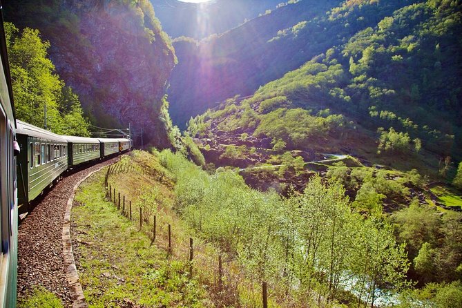 ALL ELECTRIC: Emission free tour to the World Heritage Fjords, 13 hours - Exploring Voss and Its Historic Sights