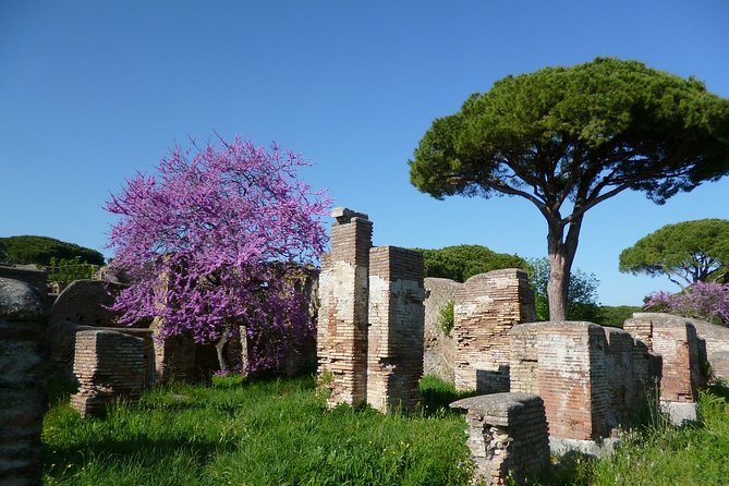 All-included Guided Tour of Ancient Ostia from Rome with Hotel Pickup & Drop Off - Booking and Cancellation Flexibility