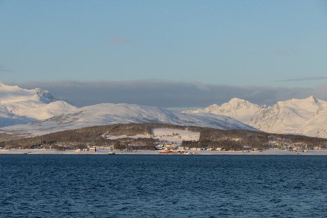 All-Inclusive Arctic Fjords and Sommarøy Scenic Tour - Transportation and Group Size