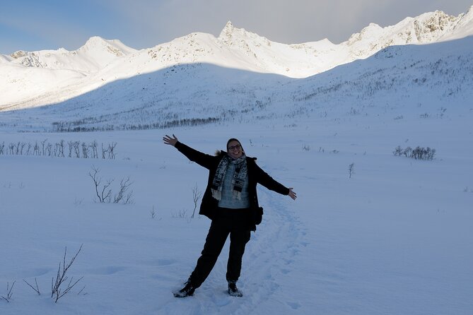 All-Inclusive Arctic Fjords and Sommarøy Scenic Tour - What Sets This Tour Apart from Others