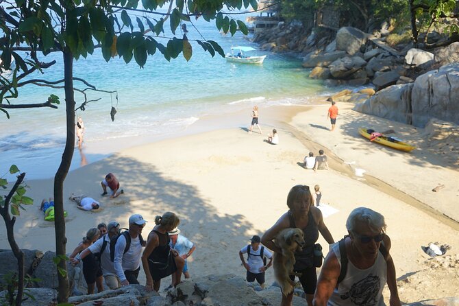 All-inclusive Colomitos cruise and Animas beach snorkeling - Practical Details and Booking Info