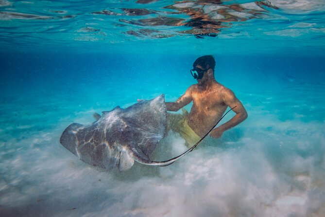 All Inclusive Cozumel: Coast & Relax 4hrs in 51" Leopard - Embarking from Fonatur Marina in Cozumel