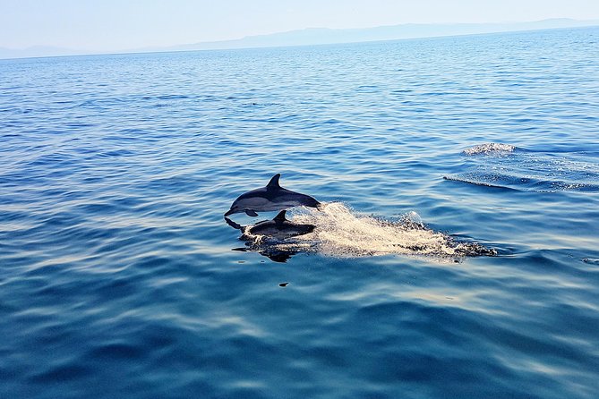 All-Inclusive Full-Day Cruise & Lunch - Meeting Point and Convenient Logistics