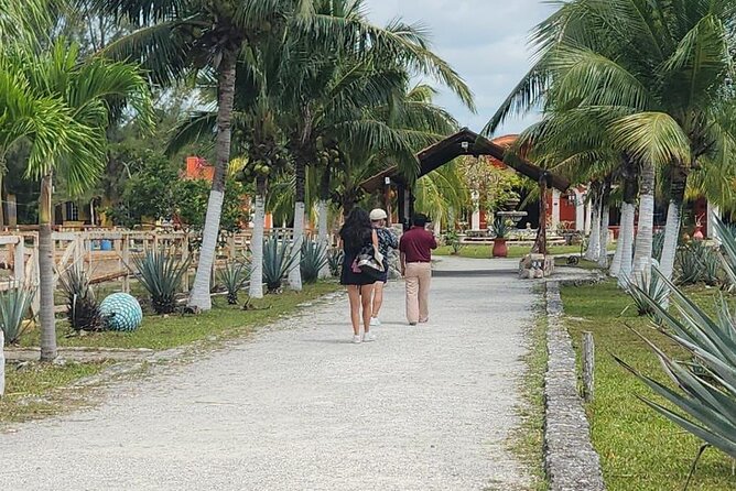 All Inclusive Mayan Ruins EN Buggy & Snorkeling Tour - Tequila Tasting at Hacienda Antigua