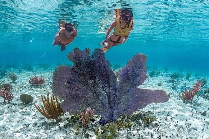 All Inclusive Mayan Ruins EN Buggy & Snorkeling Tour - Exploring Cozumel’s Coastal Beauty