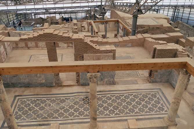 All Inclusive Private Ephesus Day Trip from Istanbul by Plane - Visiting the Famous Terrace Houses