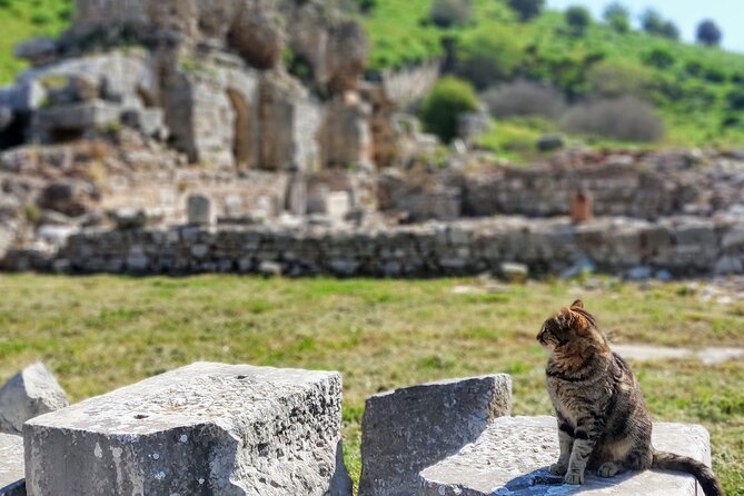 All Inclusive Private Half-Day Ephesus and Sirince Village Tour with Lunch - Authentic Turkish Lunch in Sirince