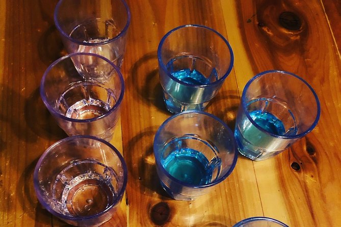 All-Inclusive Pub Crawl with Moonshine, Cocktails, and Craft Beer - The Guide’s Role and Guest Experience