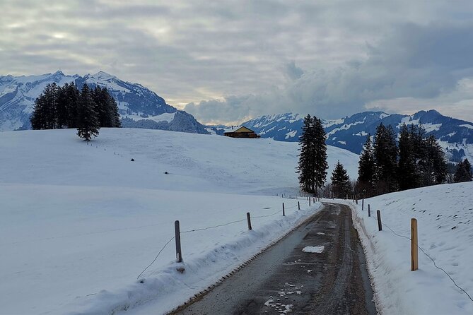 All Inclusive Rhine Falls and Appenzell Private Day Tour from Zurich - Exploring the Hidden Gems of Toggenburg