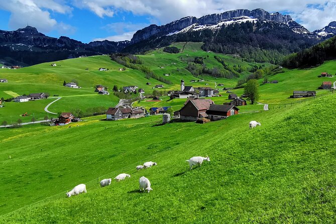 All Inclusive Rhine Falls and Appenzell Private Day Tour from Zurich - Flexibility and Ease of Planning with a Fully Organized Day
