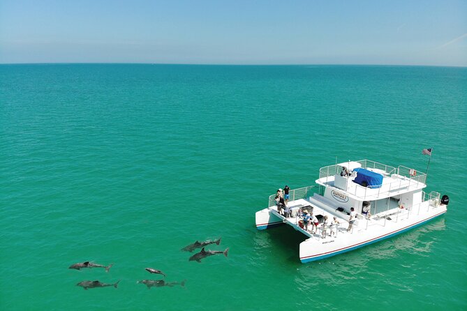 All-Inclusive Sandbar Safari with Dolphin Playground Encounter - Indulge in a Delicious Lunch and Unlimited Drinks