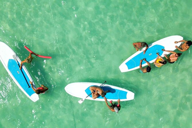 All-Inclusive Sandbar Safari with Dolphin Playground Encounter - Water Toys and Waterproof Comforts