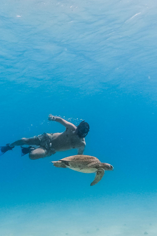 All-inclusive Snorkel in Balandras Hidden beaches, La Paz - Departure from Cabo and San José del Cabo to La Paz