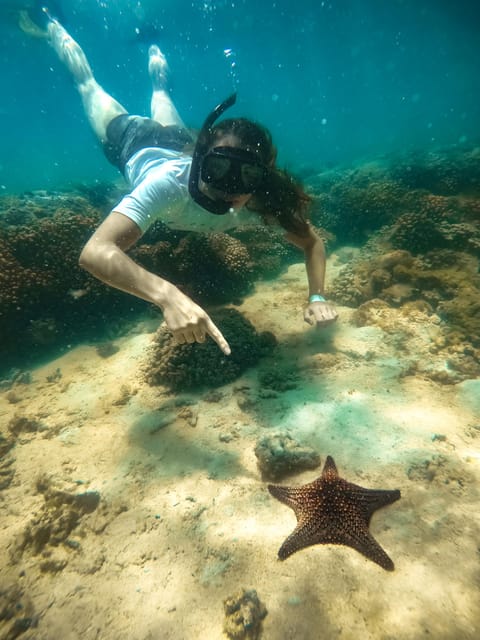 All-inclusive Snorkel in Balandras Hidden beaches, La Paz - Return Journey and Drop-off in Cabo and San José del Cabo