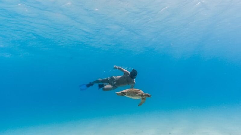 All-inclusive Snorkel in Balandras Hidden beaches, La Paz - Additional Inclusions and Practical Details